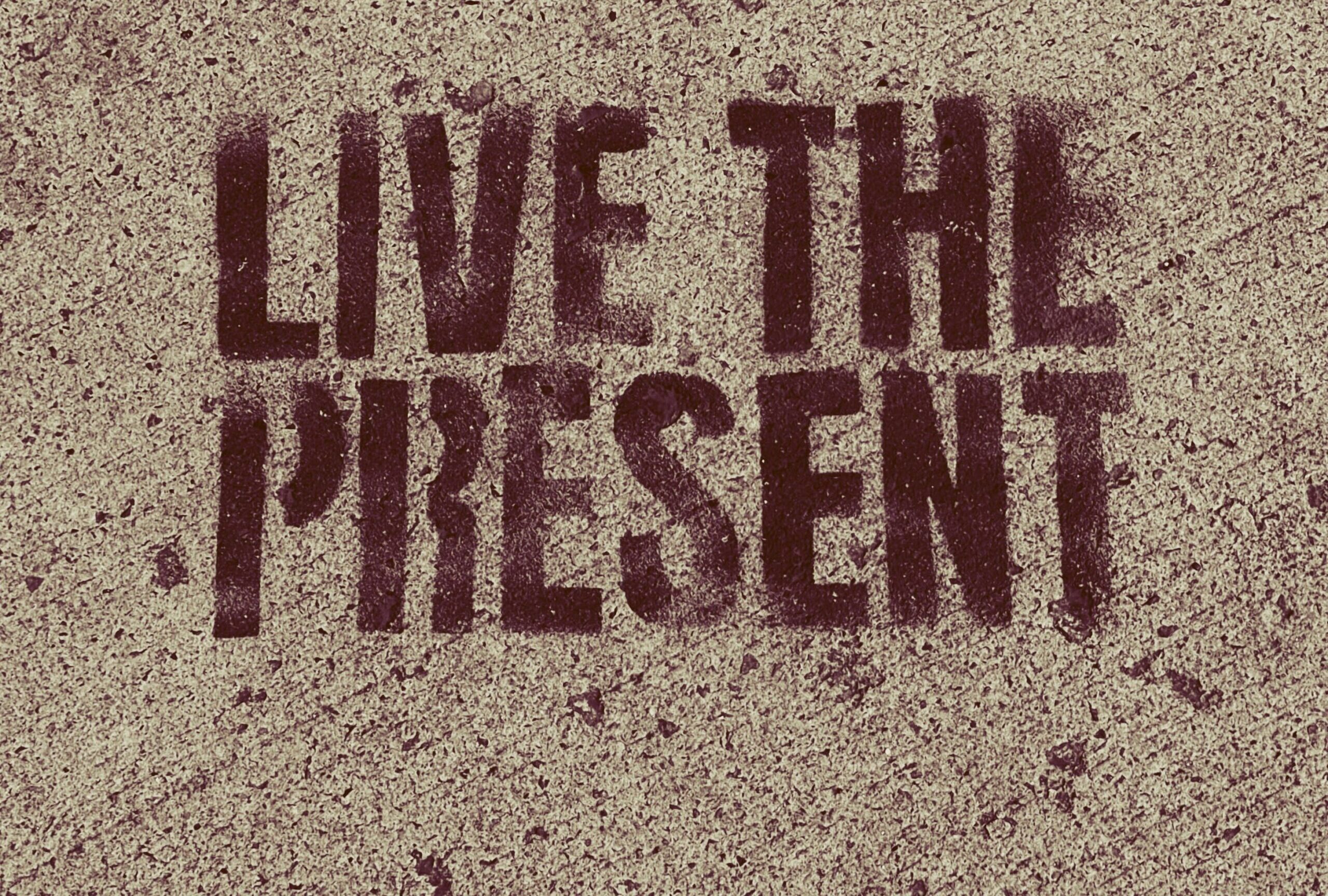 Purpose-Driven Living – Aligning Daily Habits With Your Life’s Deeper Calling